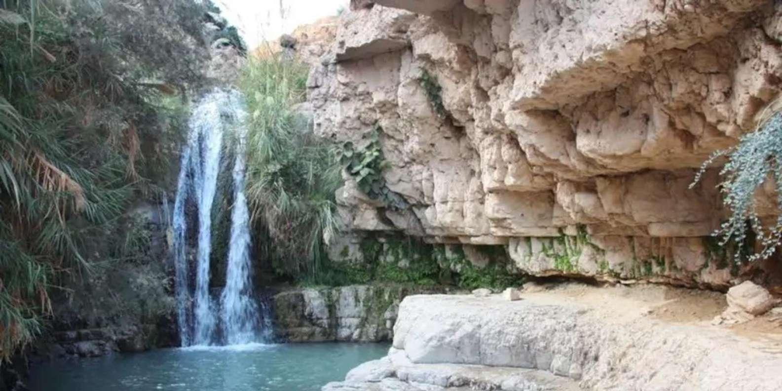 La Riserva Naturale di <b>Ein Gedi</b> e il Mar Morto in russo | GetYourGuide