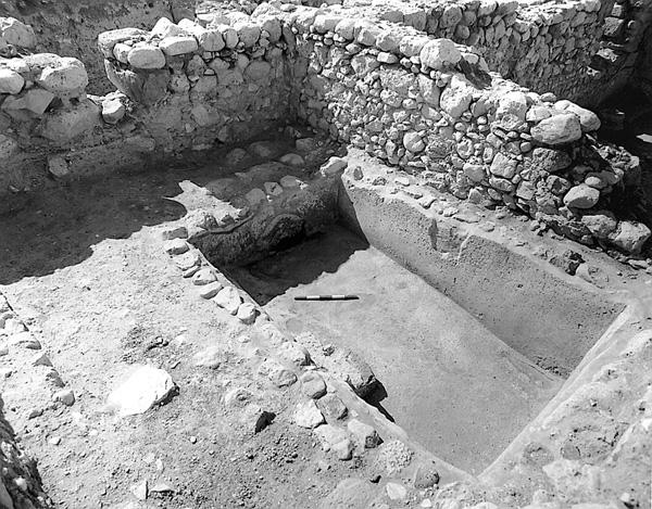 <b>En</b>-<b>Gedi</b> - The BAS Library